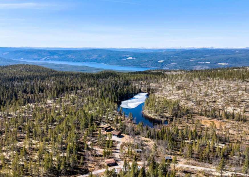 Weite Flächen mit grünen Bäumen und einem Fluss