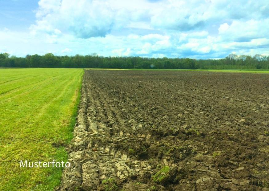 Landwirtschaftliche Fläche mit grüner Wiese