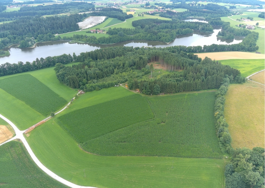 Ländereien mit grüner Wiese