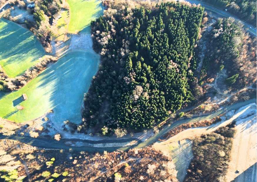 Wald aus Vogelperspektive