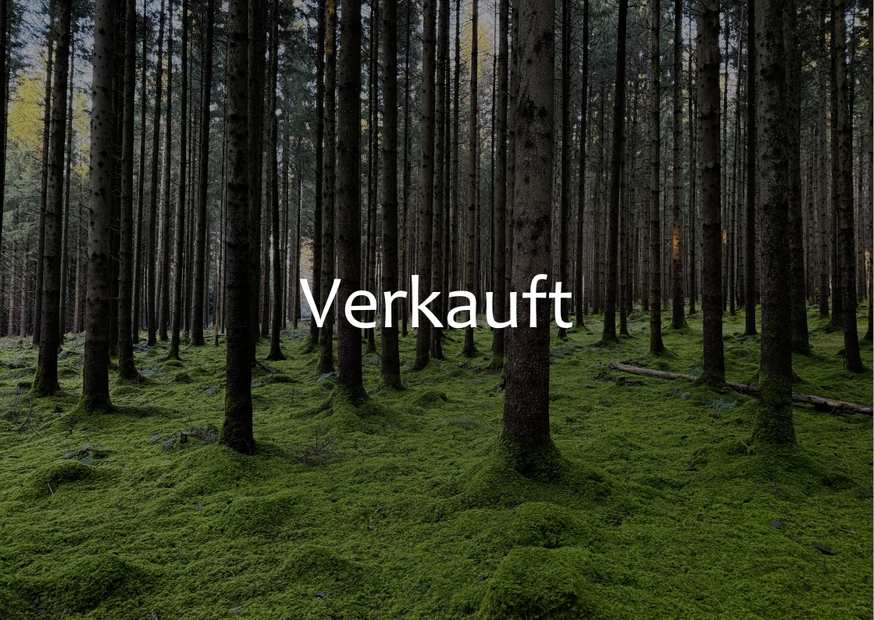 Adlmayer Wald Ost - Verkauft