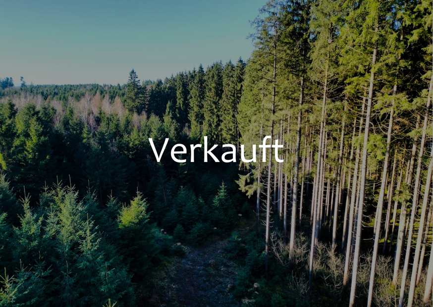Verkaufter Wald