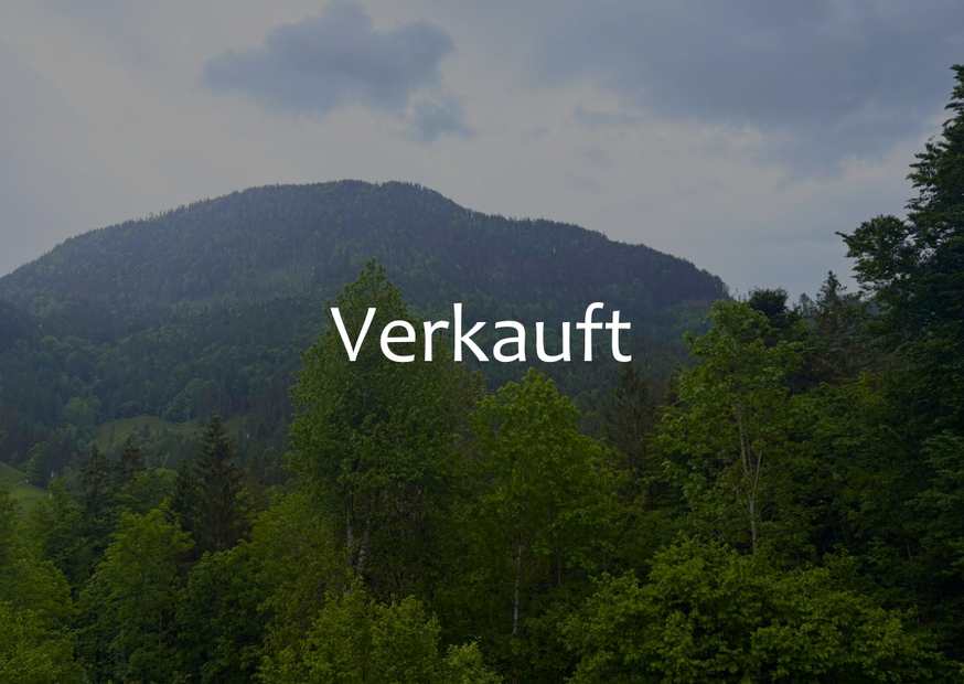 Wald bei Oberaudorf - Verkauft