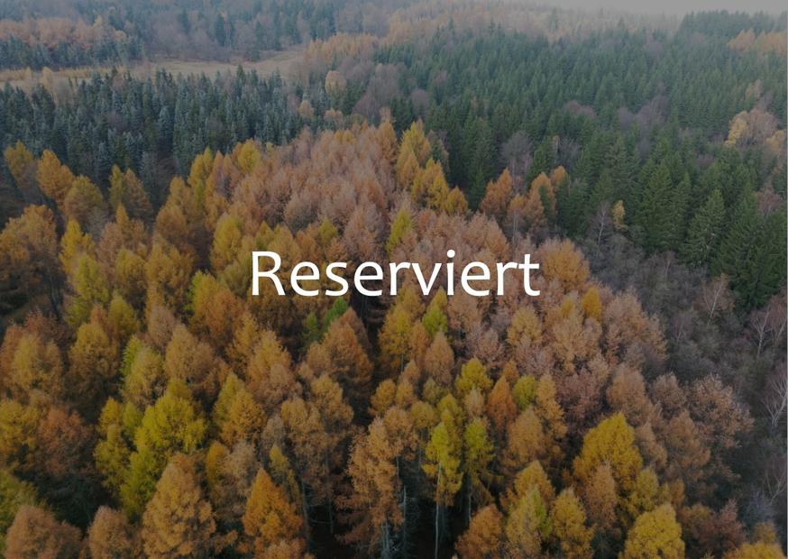 Bunter Wald im Erzgebirge