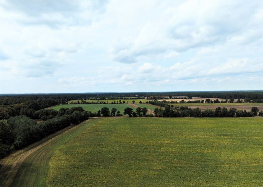Große Waldfläche