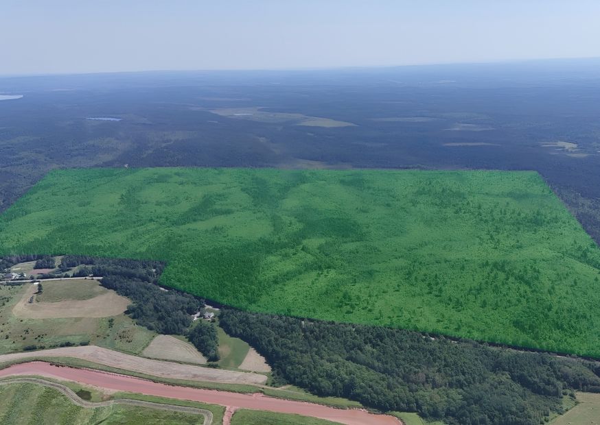 Wald Drohnenaufnahme